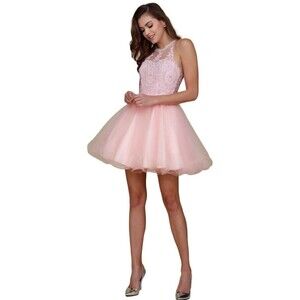 Nox Anabel Sparkly Lace Applique Bodice Tulle Cocktail Mini Dress-New Size XS